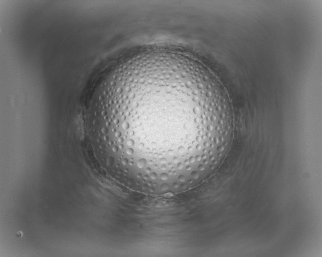 X0000071931493200607212120
