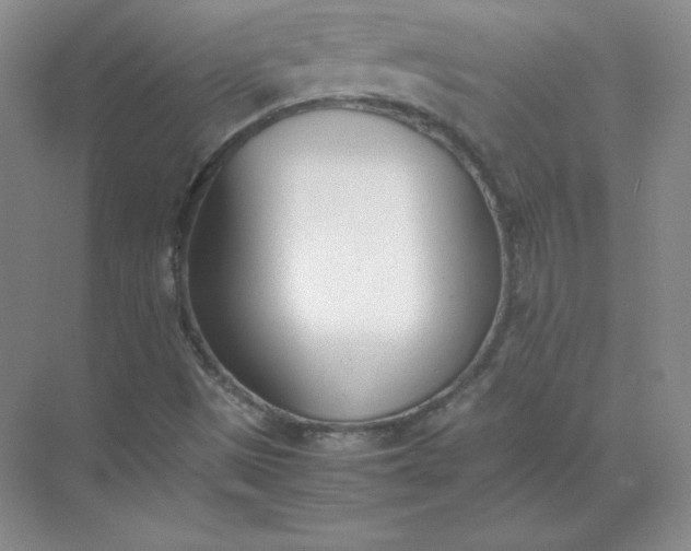 X0000071931497200607212120