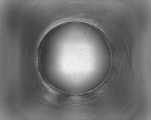 X0000071931511200607212120