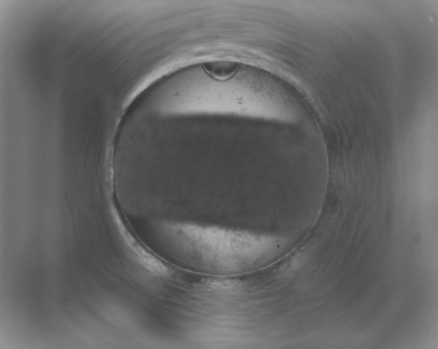 X0000071931522200607212121
