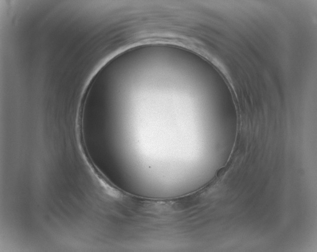 X0000071931533200607212121