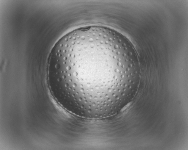 X0000071931534200607212121