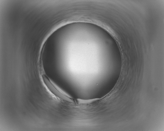 X0000071931536200607212121