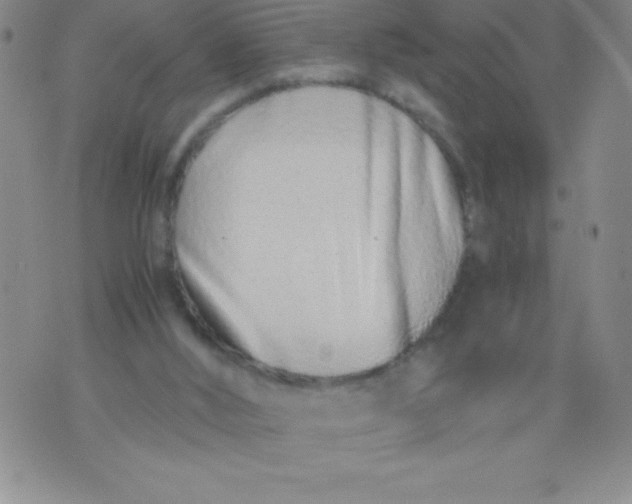 X0000071930012200607281930