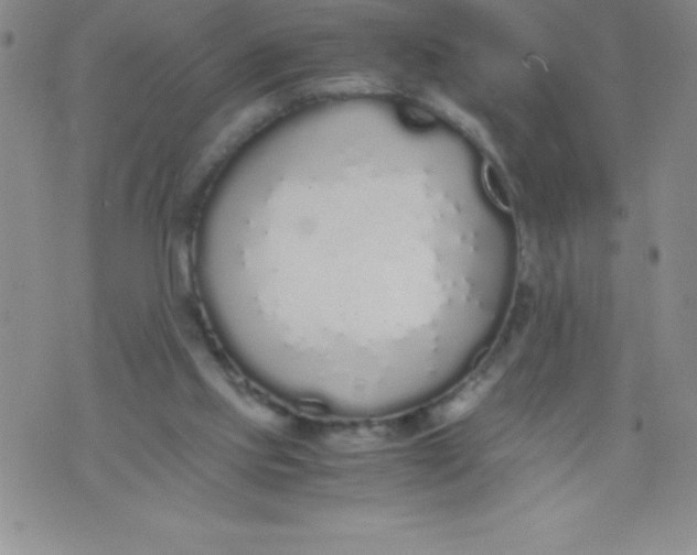 X0000071930061200607281929