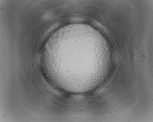 X0000071930071200607281929