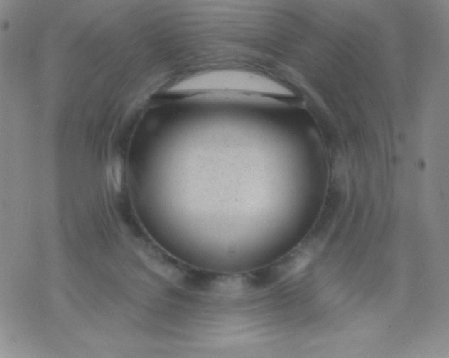 X0000071930076200607281929