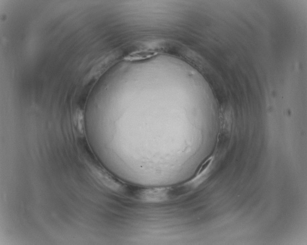 X0000071930094200607281929