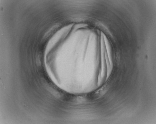 X0000071930114200607281928