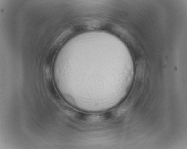 X0000071930123200607281928