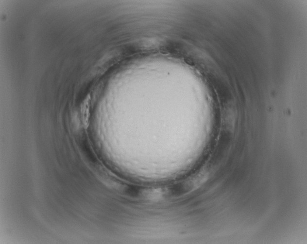 X0000071930131200607281928