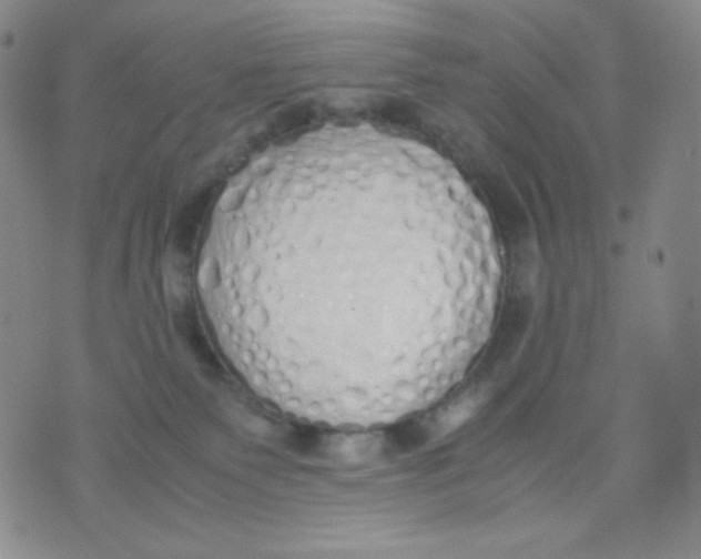 X0000071930135200607281928