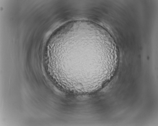 X0000071930145200607281927