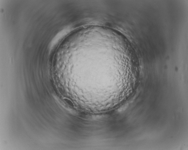 X0000071930149200607281927