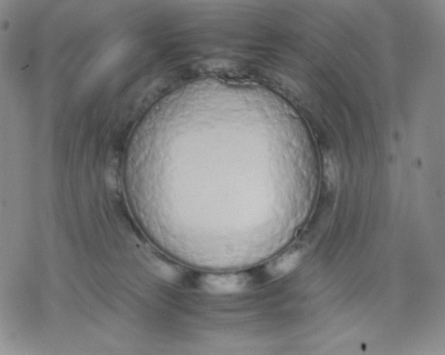 X0000071930181200607281928