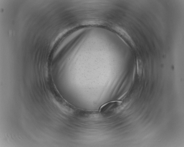 X0000071930204200607281927