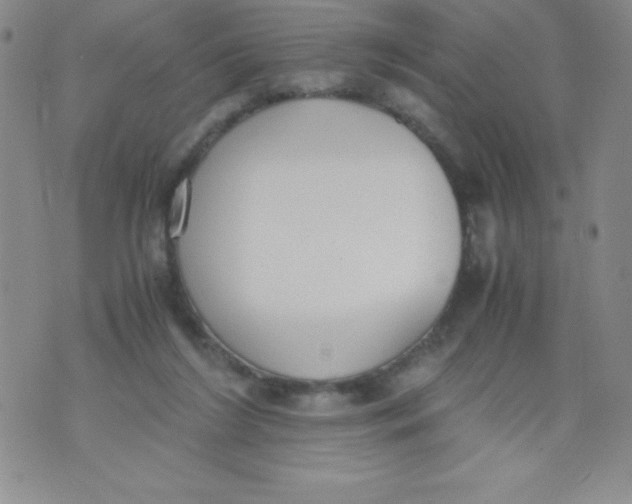 X0000071930212200607281927