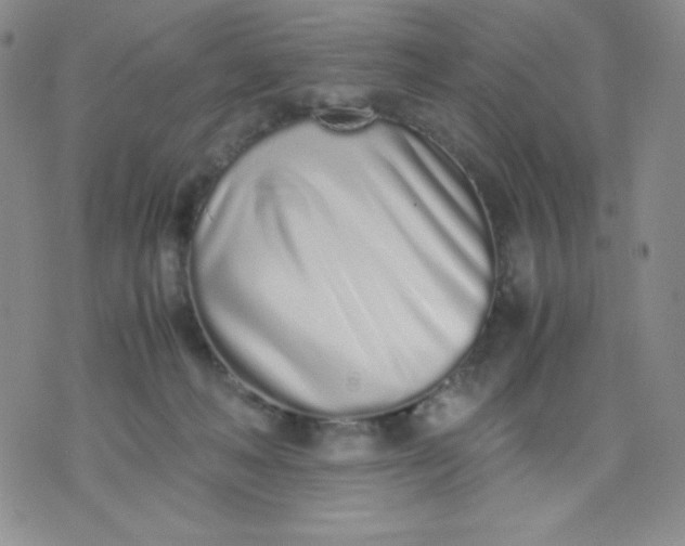 X0000071930222200607281927