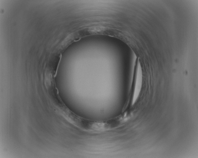 X0000071930227200607281926