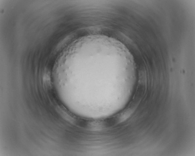 X0000071930238200607281926