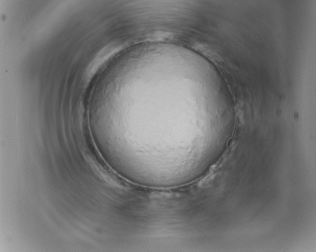 X0000071930242200607281925