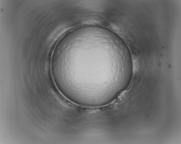 X0000071930243200607281925