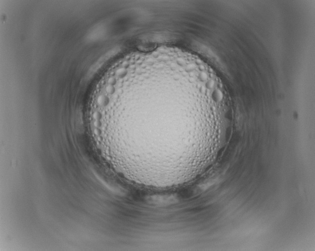 X0000071930251200607281926