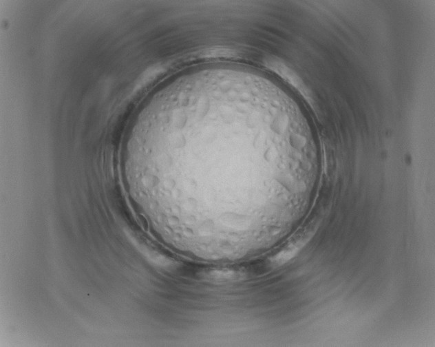 X0000071930253200607281926