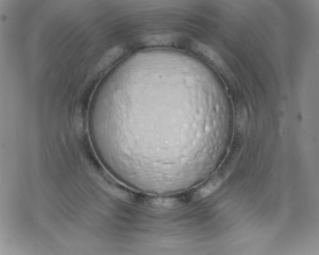 X0000071930261200607281926