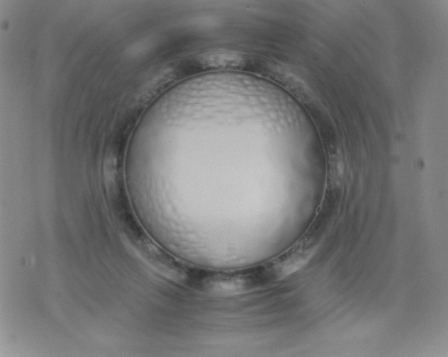 X0000071930263200607281926