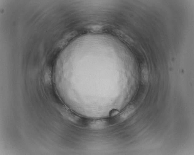 X0000071930274200607281926