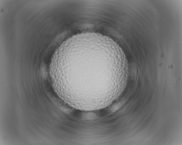 X0000071930287200607281926