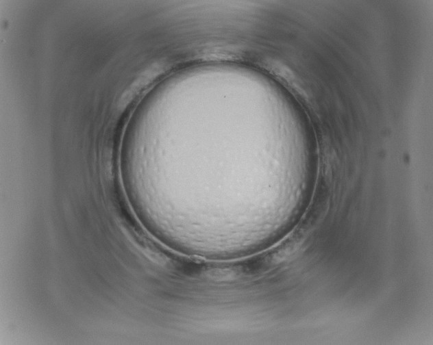 X0000071930299200607281925