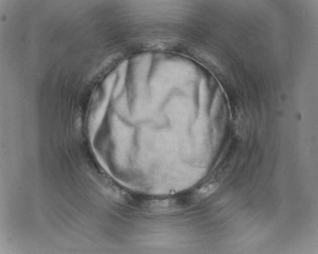 X0000071930314200607281925