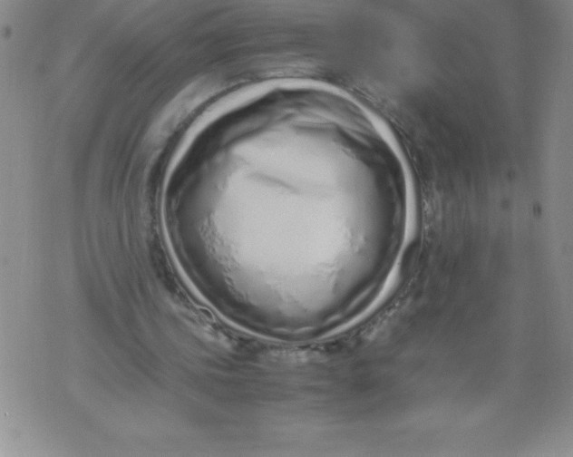 X0000071930339200607281924