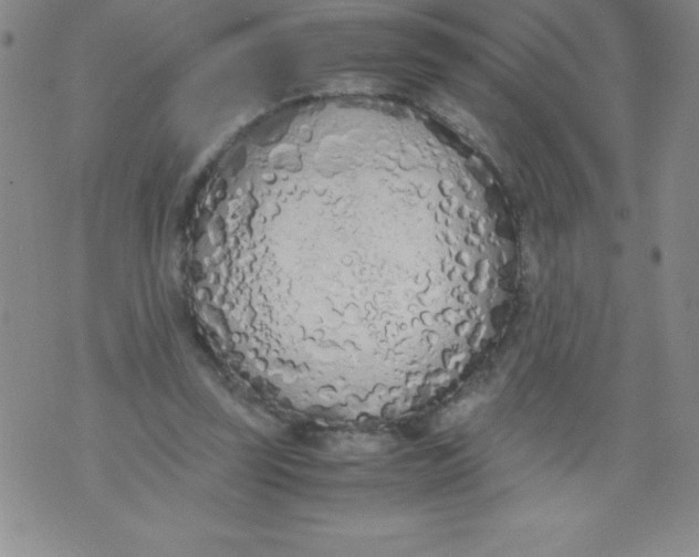 X0000071930347200607281924