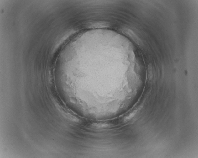 X0000071930351200607281924