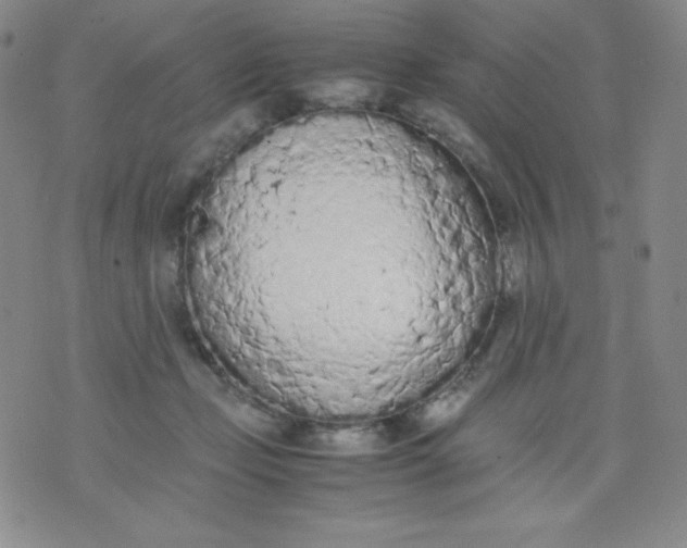 X0000071930365200607281924