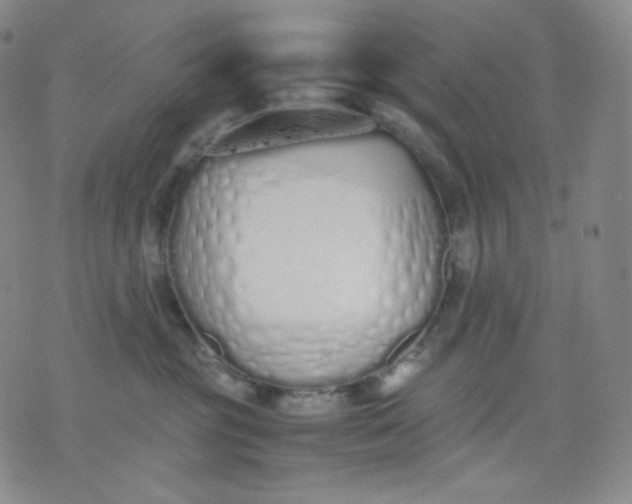 X0000071930381200607281925