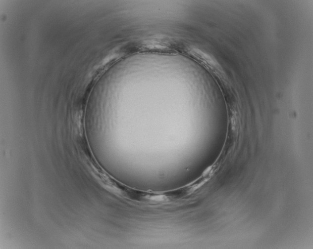 X0000071930409200607281923