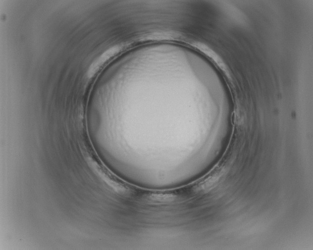 X0000071930437200607281922