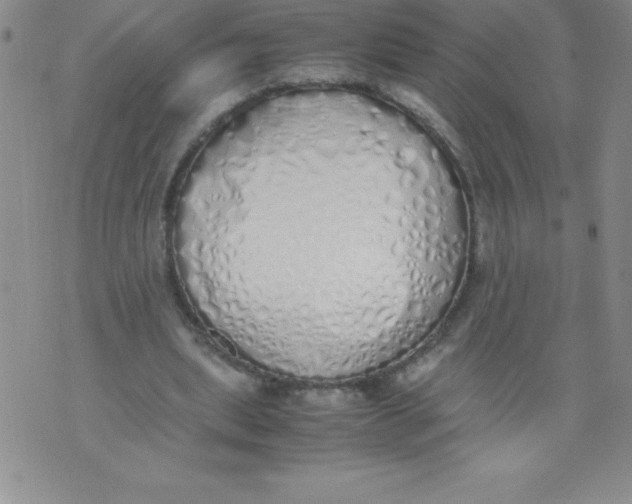 X0000071930439200607281922
