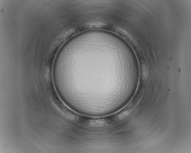 X0000071930451200607281923