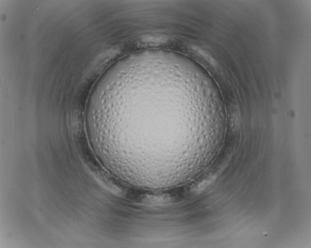 X0000071930455200607281923