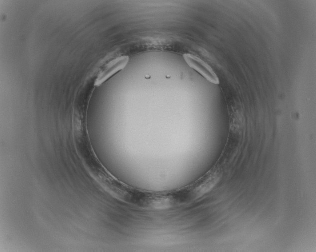 X0000071930456200607281923