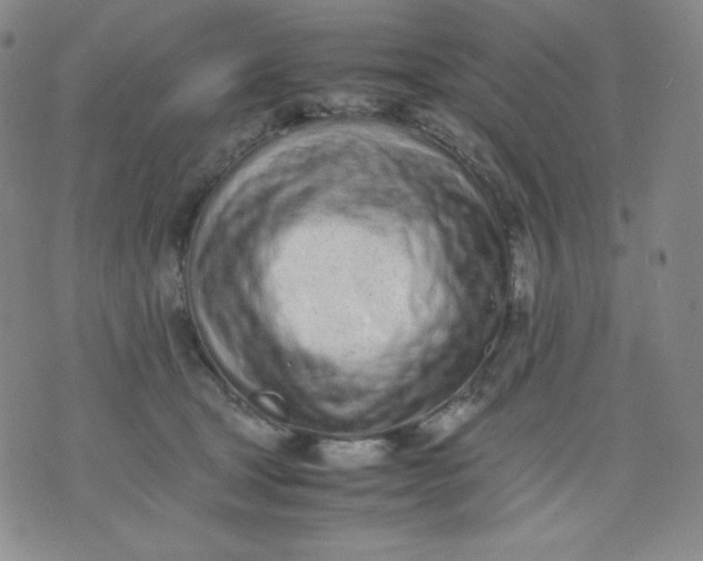 X0000071930465200607281923