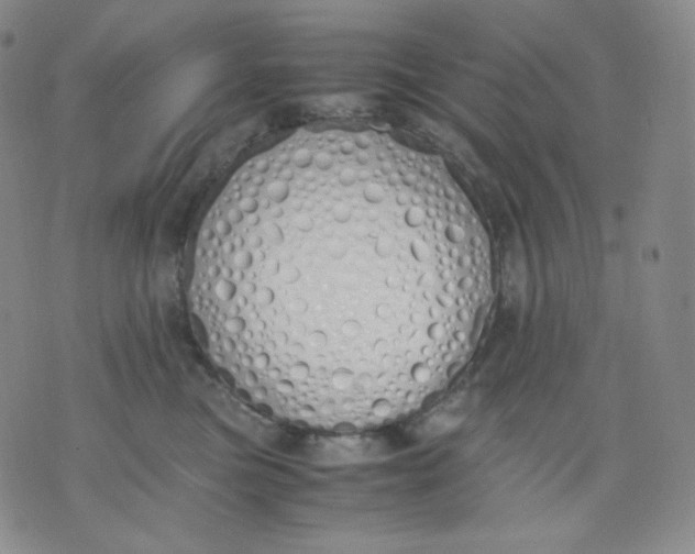 X0000071930473200607281923