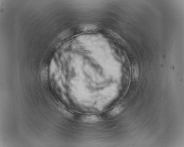 X0000071930475200607281923