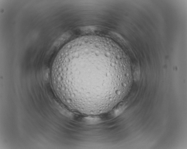 X0000071930477200607281923