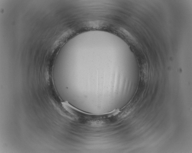 X0000071930500200607281922